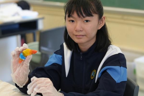 札染體驗